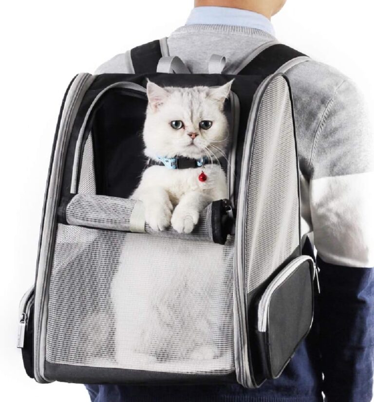 Small Pet Backpack Carrier