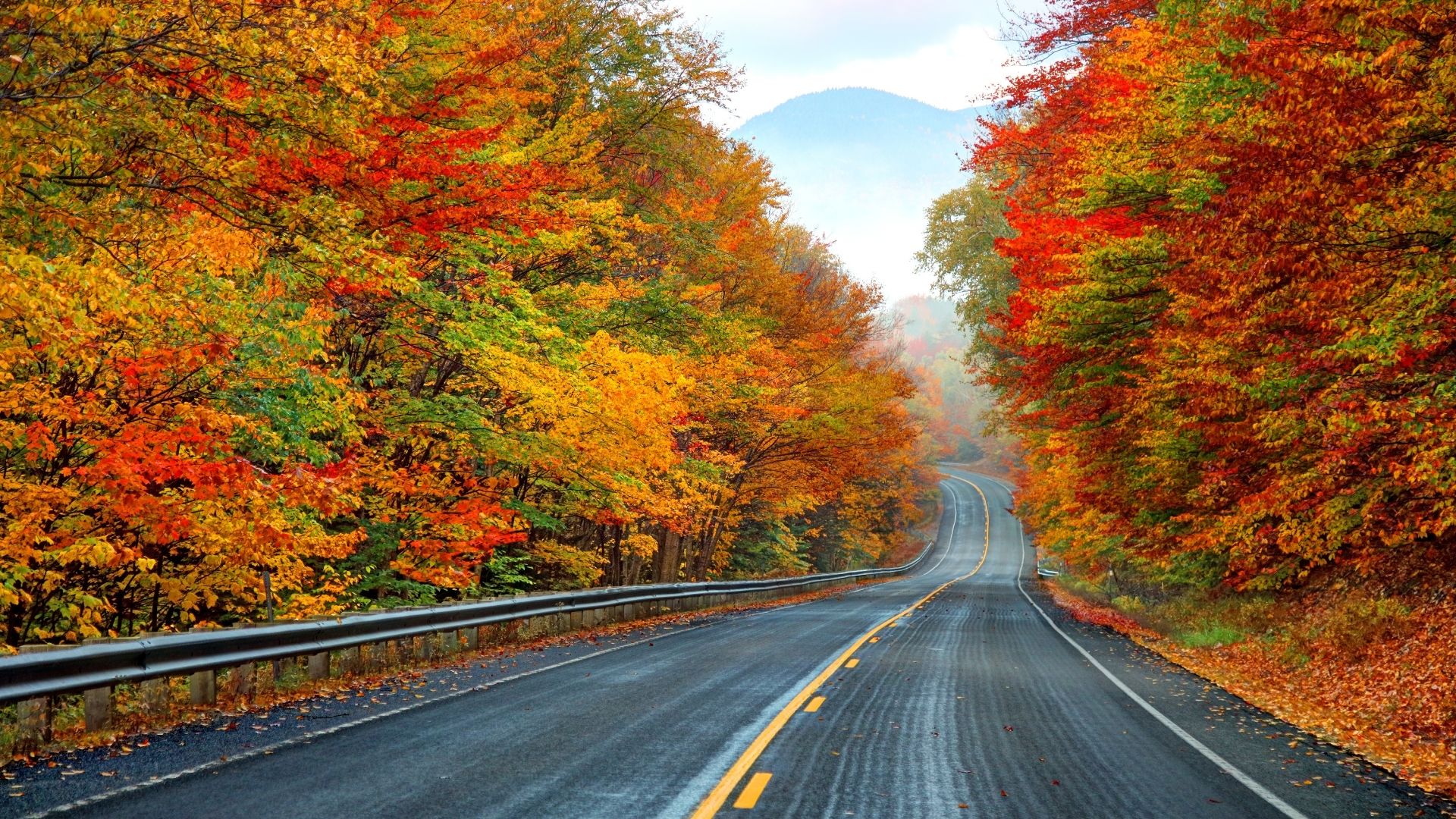 Kancamagus Highway: New Hampshire's Scenic Alpine Passage - 50at60