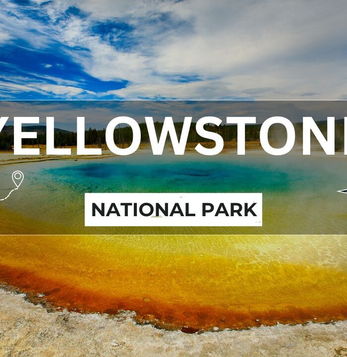 Geysers, Grizzlies, and Grandeur: A Three-Day Exploration of Yellowstone National Park