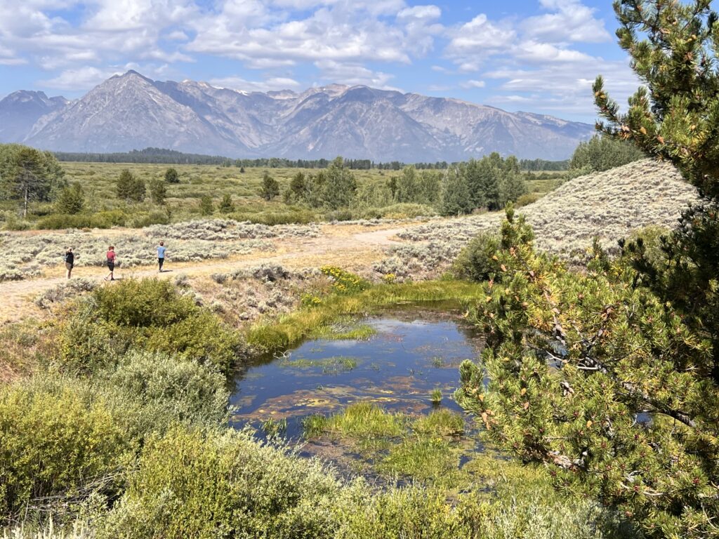 Three figures walking a sagebrush trail, Tetons behind, small pond reflecting the scene