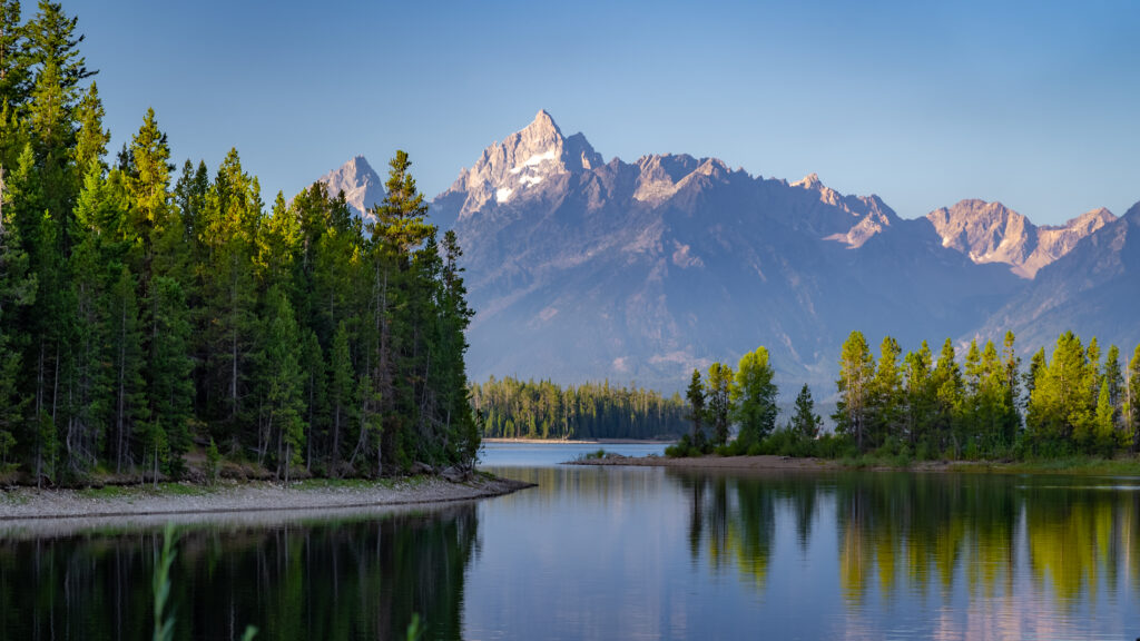 Jackson Lake at dawn, Grand Teton perfectly reflected, pines framing the shot